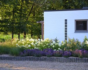 Unterkunft 055101 - Ferienhaus Limburg - Huisje in Helchteren