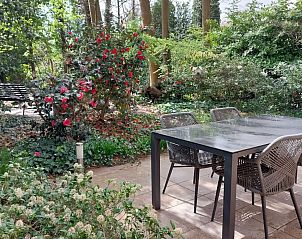 Unterkunft 055253 - Bungalow Limburg - Buitenhuis de Eekhoorn