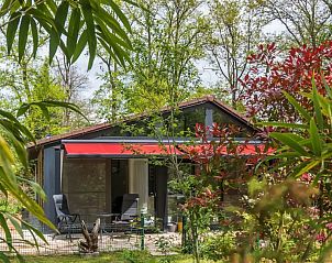 Guest house 055254 - Chalet Limburg - Atelierhuisje Rekem