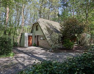 Unterkunft 055255 - Ferienhaus Limburg - Le Petit Bois