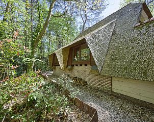 Unterkunft 055255 - Ferienhaus Limburg - Le Petit Bois