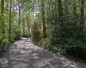 Unterkunft 055255 - Ferienhaus Limburg - Le Petit Bois