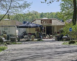 Unterkunft 055255 - Ferienhaus Limburg - Le Petit Bois