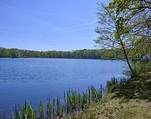 Unterkunft 055255 - Ferienhaus Limburg - Le Petit Bois