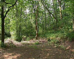 Guest house 055406 - Chalet Limburg - Het Hertenbos