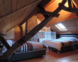Unterkunft 055801 - Ferienhaus Limburg - 'T Hamuzement