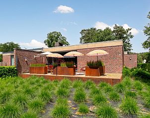 Geniet van het zonnige terras van Maison Clement, een vakantiehuis in Maasmechelen, Limburg, omringd door groene natuur en rust.