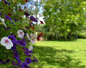 Unterkunft 056302 - Ferienhaus Limburg - Huisje in Genk