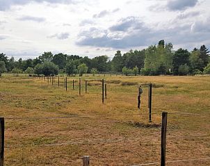 Unterkunft 056302 - Ferienhaus Limburg - Huisje in Genk