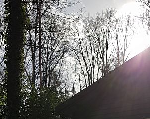 Verblijf 056611 - Chalet Limburg - Neeltjes huisje