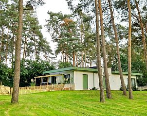Cottage in Lanaken, a charming cottage in Gellik, Limburg, Belgium, surrounded by serene nature and tall trees.