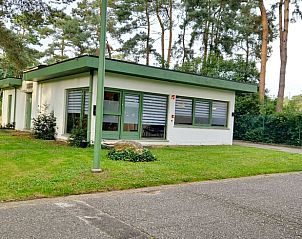 Cottage in Lanaken, a charming cottage in Gellik, Limburg, Belgium, surrounded by greenery and rustic nature.