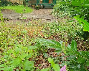 Unterkunft 056618 - Ferienhaus Limburg - Huisje in Gellik Lanaken