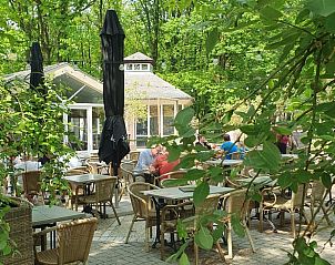 Unterkunft 056618 - Ferienhaus Limburg - Huisje in Gellik Lanaken