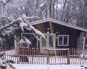Unterkunft 056624 - Ferienhaus Limburg - Vakantiehuisje in Lanaken gellik