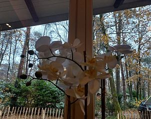 Unterkunft 056624 - Ferienhaus Limburg - Vakantiehuisje in Lanaken gellik