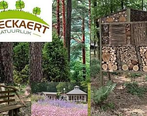 Unterkunft 056624 - Ferienhaus Limburg - Vakantiehuisje in Lanaken gellik