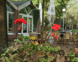 Unterkunft 056624 - Ferienhaus Limburg - Vakantiehuisje in Lanaken gellik