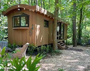 Unterkunft 056635 - Ferienhaus Limburg - Pipowagen de Pauw nabij Maastricht