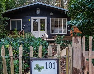 Unterkunft 056636 - Chalet Limburg - Chalet 