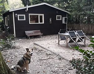 Unterkunft 056636 - Chalet Limburg - Chalet 