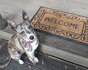 Unterkunft 056636 - Chalet Limburg - Chalet 