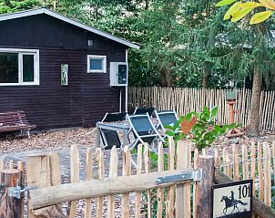 Unterkunft 056636 - Chalet Limburg - Chalet 