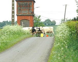 Verblijf 056710 - Vakantiewoning Limburg - Vakantiehuis in Remersdaal Voeren