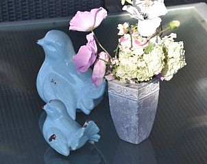 Verblijf 057502 - Vakantiewoning Limburg - De Maaskei