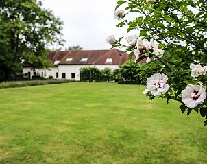 Unterkunft 057904 • Ferienhaus Limburg • Vakantiehuisje in Alken 