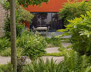 Guest house 058211 - Holiday property Limburg - BL063