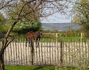 Guest house 060421 - Apartment Liege - Appartement Vue au Jardin