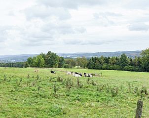 Verblijf 0613201 - Chalet Ardennen (Luik) - Prémassin