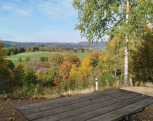 Guest house 062026 - Holiday property Liege - Vakantiehuisje in Lierneux