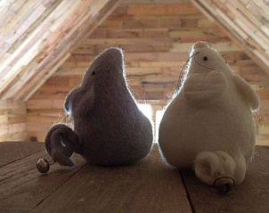 Guest house 062026 - Holiday property Liege - Vakantiehuisje in Lierneux