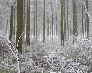 Verblijf 062712 - Vakantiewoning Ardennen (Luik) - Vakantiehuis in Büllingen