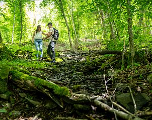 Verblijf 063417 - Vakantiewoning Ardennen (Luik) - Vrijstaande woning in Spa