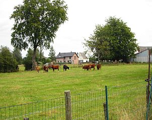 Verblijf 0635202 - Vakantiewoning Ardennen (Luik) - Entre Fagnes et Lac