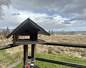Guest house 0635402 - Chalet Liege - La Cabane