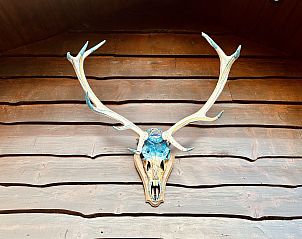 Guest house 0635402 - Chalet Liege - La Cabane