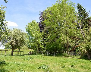 Guest house 063722 - Holiday property Liege - Pre Lamborelle