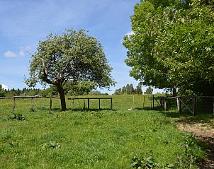 Guest house 063724 - Holiday property Liege - Petit pr�
