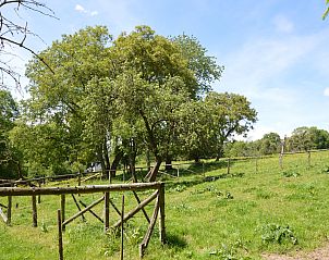 Guest house 063724 - Holiday property Liege - Petit pr�