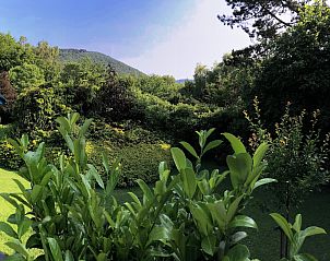 Verblijf 065408 - Chalet Ardennen (Luik) - Quarreux 27