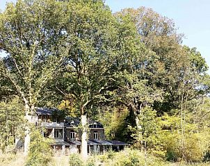 Verblijf 065803 • Vakantiewoning Ardennen (Luik) • Le Rêve du Sanglier 