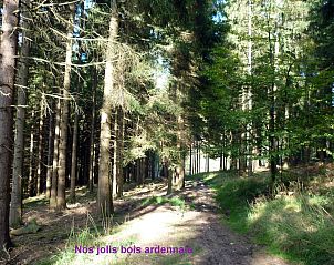 Verblijf 066305 - Vakantiewoning Ardennen (Luik) - Vakantiehuis Ardennen Ferienhaus 5 Zimmer 5 Bad 14 Pers Zuga