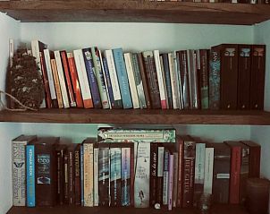 Cozy reading corner in Holiday Home in Ottr, Ardennes, with a well-stocked bookcase for relaxation in Belgian nature.
