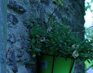 Guest house 0668102 - Holiday property Liege - Vakantiehuis in Ottr