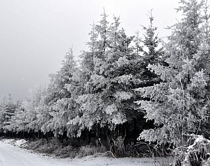 Guest house 0668102 - Holiday property Liege - Vakantiehuis in Ottr