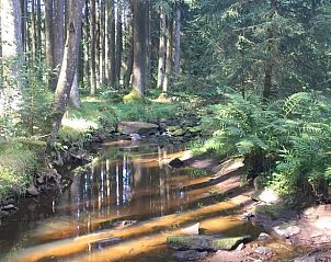 Guest house 0668102 - Holiday property Liege - Vakantiehuis in Ottr